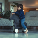 Zebra Moes - Figura 2